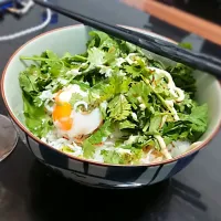 Snapdishの料理写真:パクチーだらけの実はしらす丼|Takeshi Wakakoさん