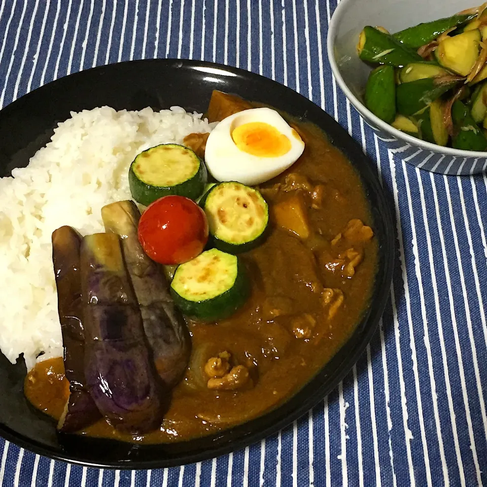 夏野菜カレー|tomoさん