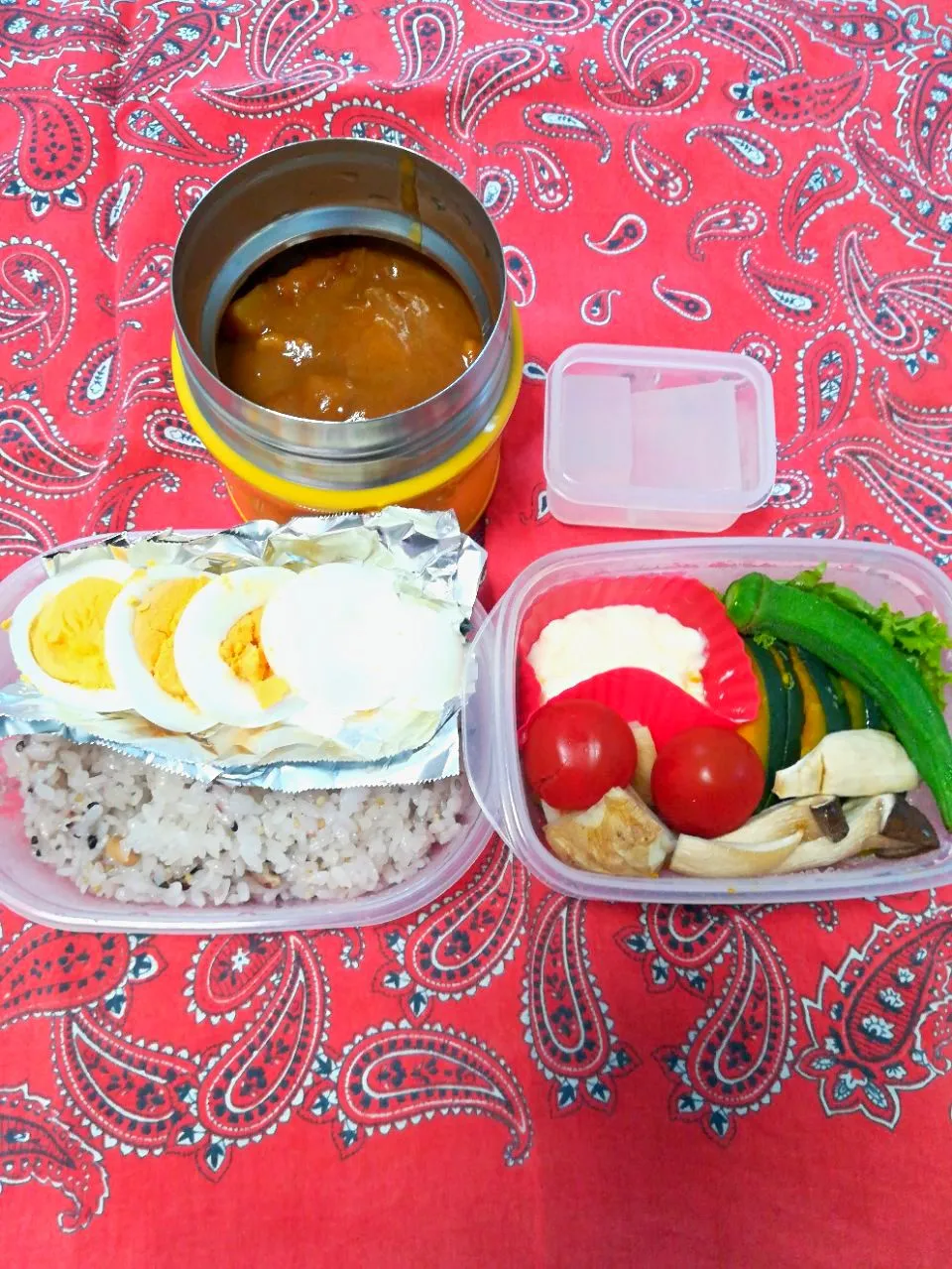 Snapdishの料理写真:カレーライスとチーズフォンデュ弁当🍱|とにおさん