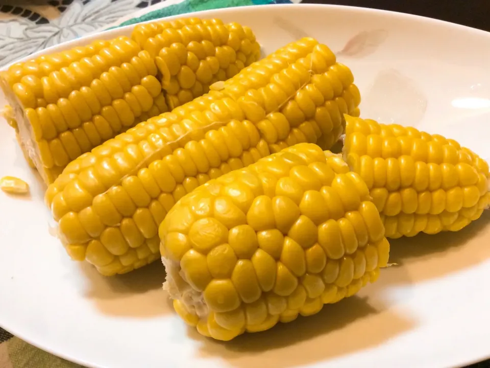 夏野菜を食べる😋🌽|アライさんさん