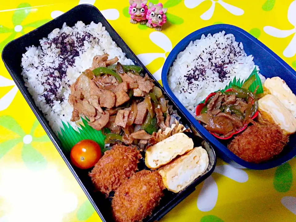 夫の弁当、娘の弁当|みどりさん