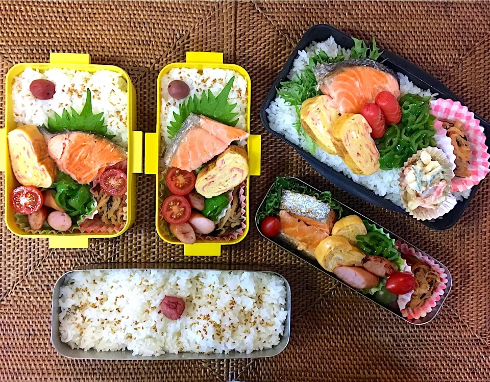 Snapdishの料理写真:#中高生弁当  #父ちゃん弁当  #のっけ弁当  #鮭弁|よちこさん