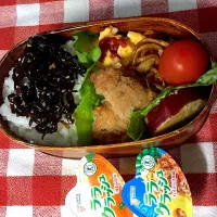 Snapdishの料理写真:高3次女  お弁当🍱