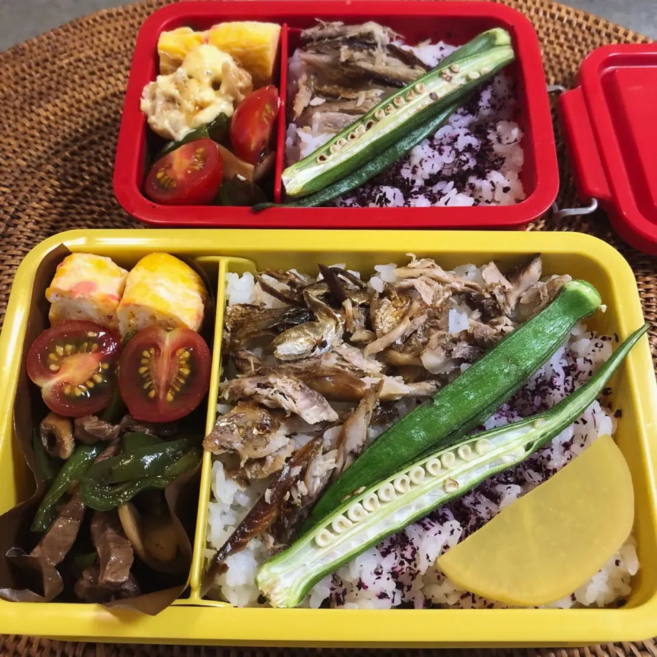 秋刀魚ほぐしご飯と青椒肉絲、紅生姜入り卵焼きでお弁(ﾟ∀ﾟ)#お弁当|nao子さん