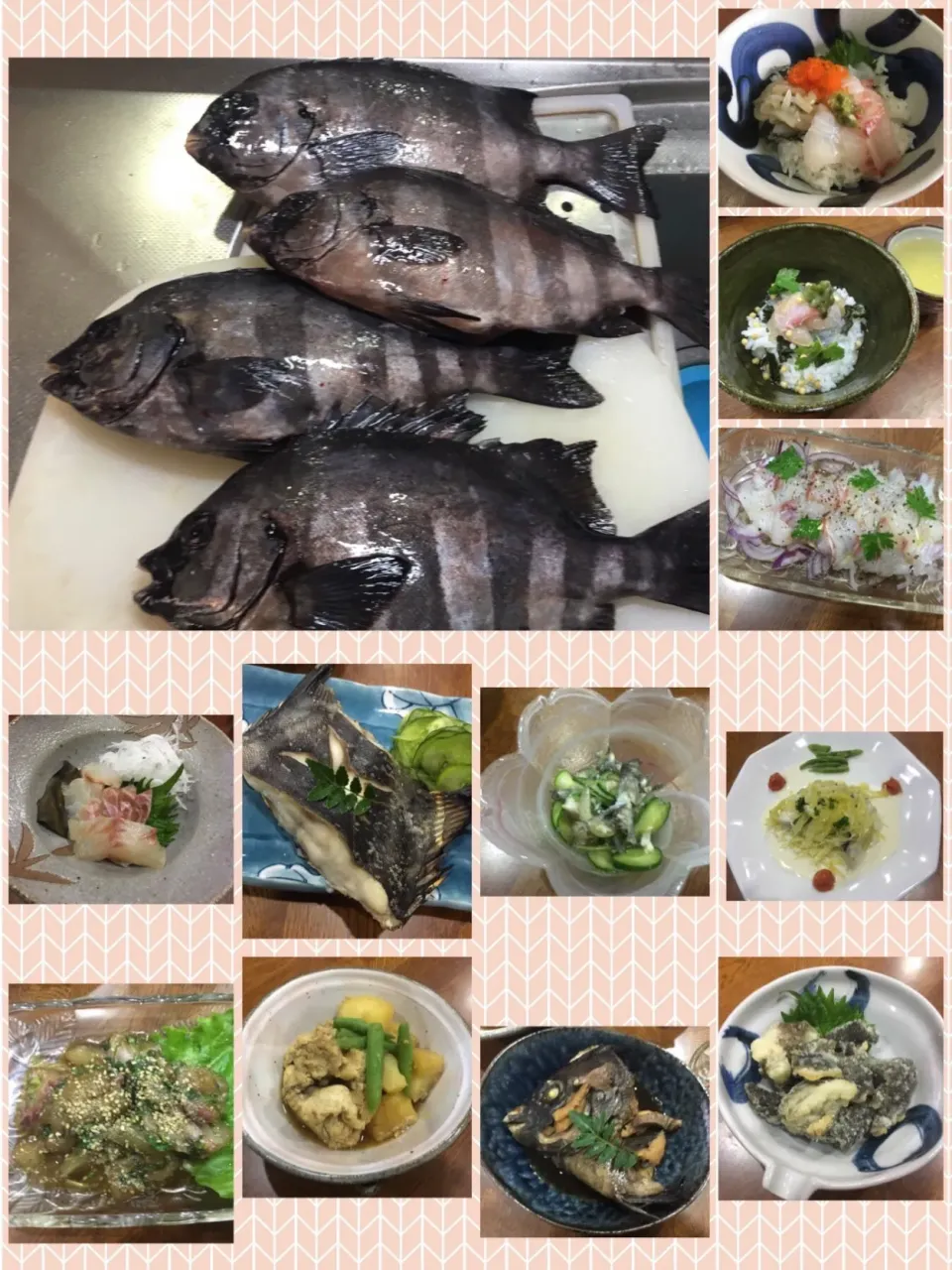 週末 Dinner  Vol.1 石鯛尽くし🐟|sakuramochiさん