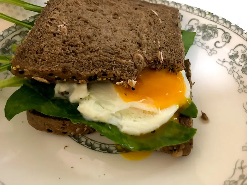 Snapdishの料理写真:rye bread spinach sandwich，|Sylviaさん