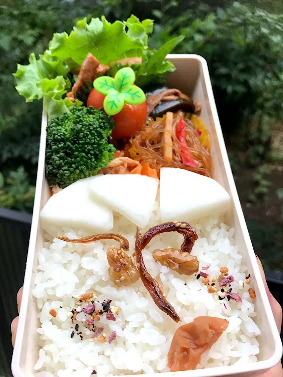 Snapdishの料理写真:お弁当〜〜🍱
旦那🍱|まんぞーさん