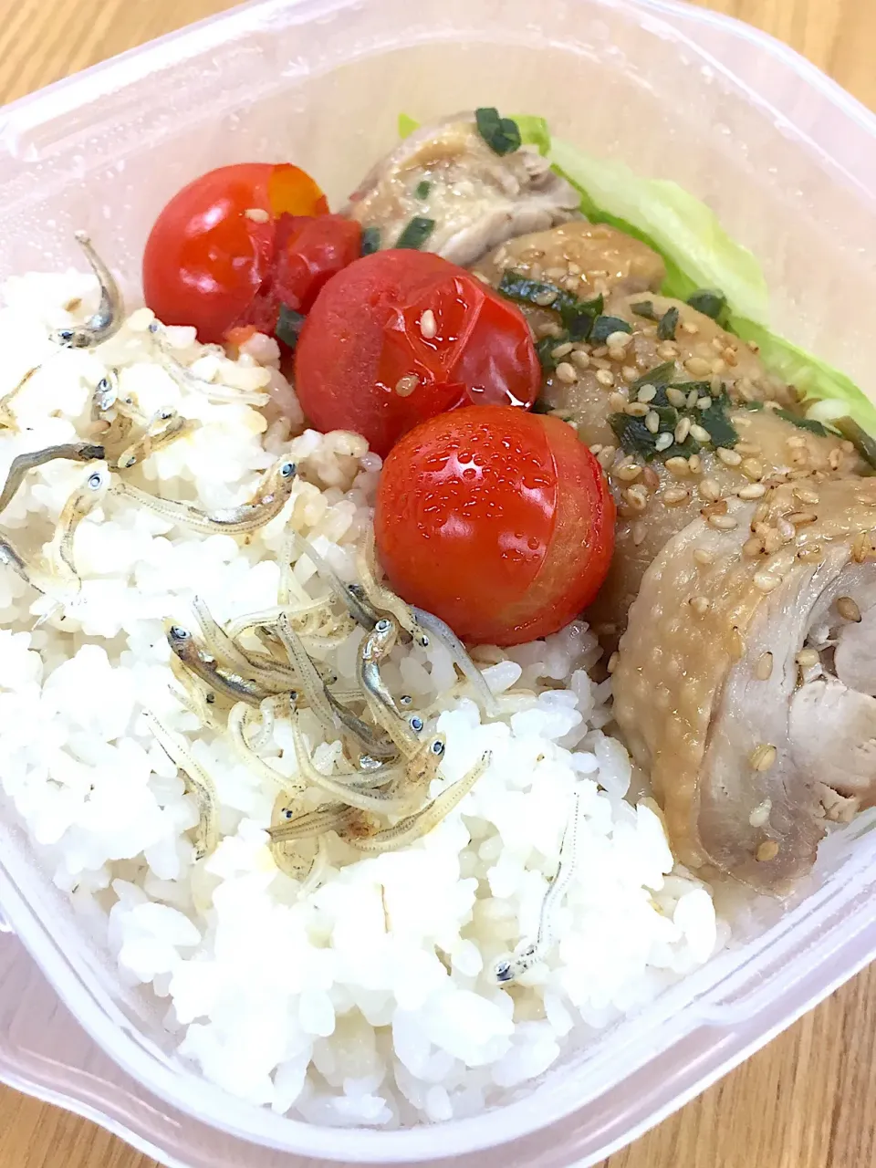 丸い豚肉お弁当|D-fukuさん