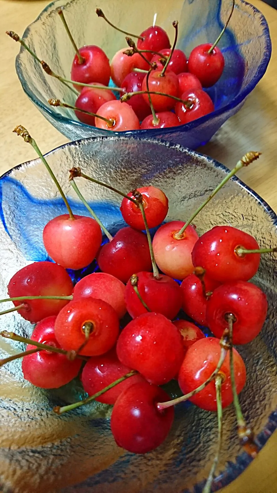 山形のさくらんぼ🍒|しまだ ちえこさん