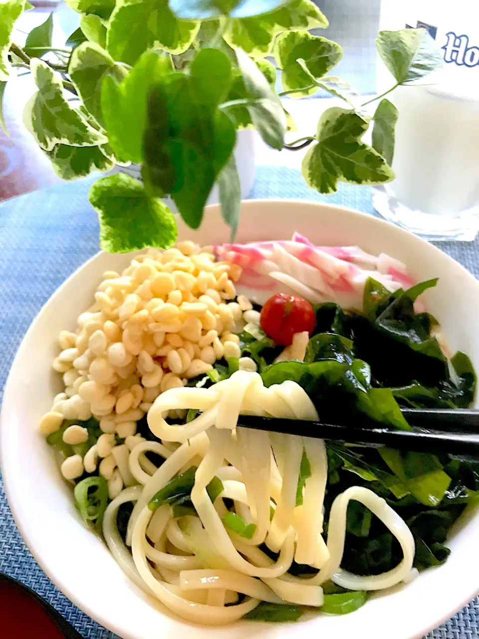 冷やしたぬきうどん|シュトママさん