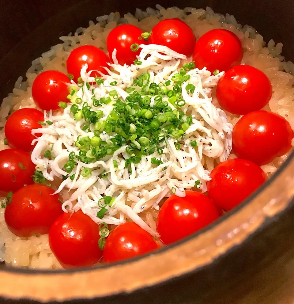 トマトとシラスの土鍋ごはん！|Tomyさん