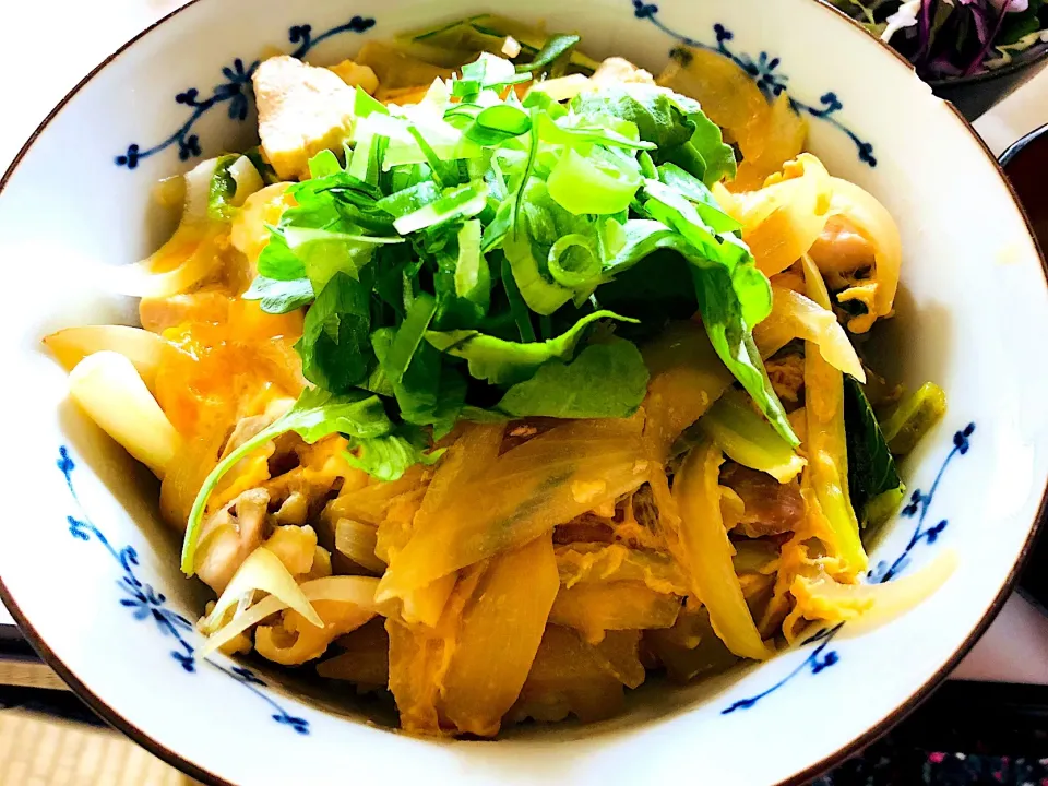 Snapdishの料理写真:玉ねぎたくさんの親子丼|あこさん