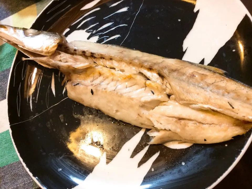 大きなカマスの塩焼き🐟😋|アライさんさん