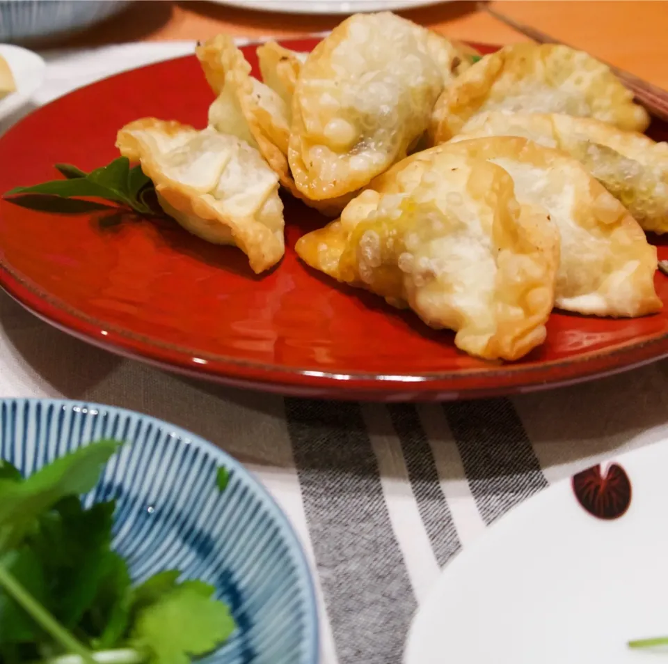 カレーそぼろとチーズの揚げ餃子|麻紀子さん