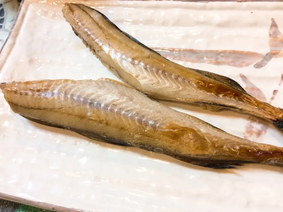 こんな感じのお魚🐟さん好きだな😋|アライさんさん