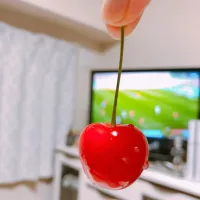 さくらんぼ🍒|すーちゃんさん