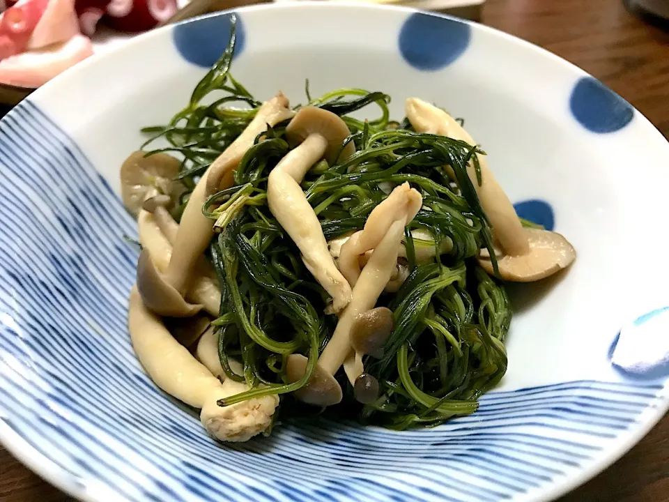 おかひじきとしめじの炒め煮☆|とみー@仙台さん