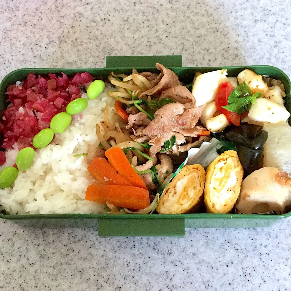 DK弁当 肉野菜炒め|Kikikさん