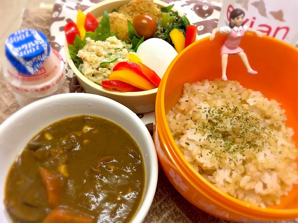 マッサマンヒレカツカレー🍛、おからポテサラ、春菊のエゴマ和え、茹で玉子、パプリカ、大葉、プチトマト🍅のワタシお弁当♪

 #弁当  #フチ子  #ダーリン出張  #ぼっちお弁当  #マッサマンカレー|桃実さん