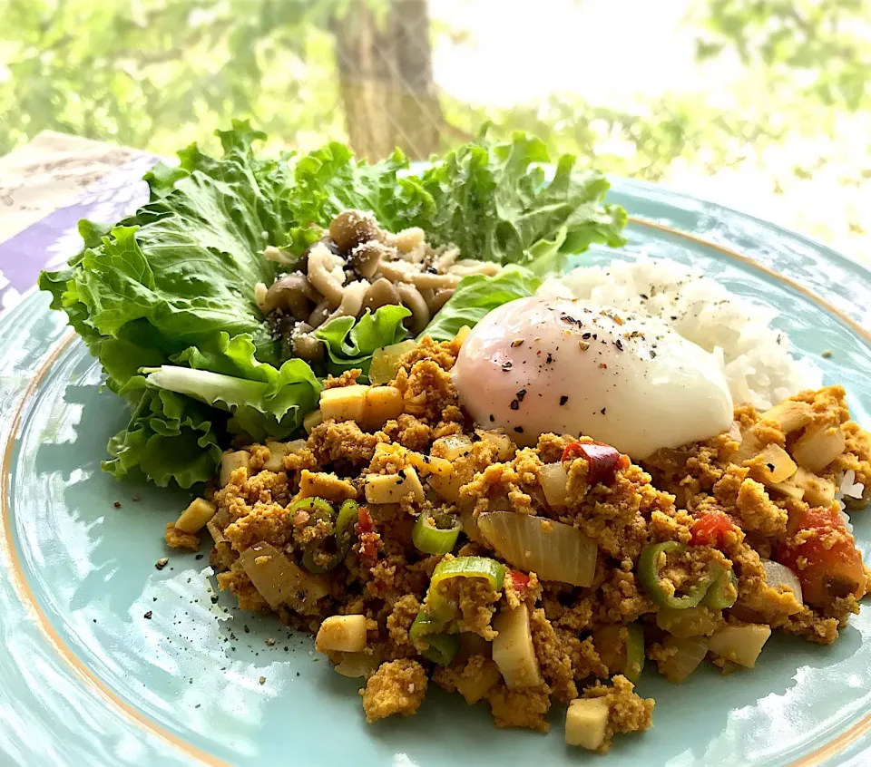 昼ごはん  高野豆腐のドライカレー🍛ちょい和風バージョン|砂雪さん