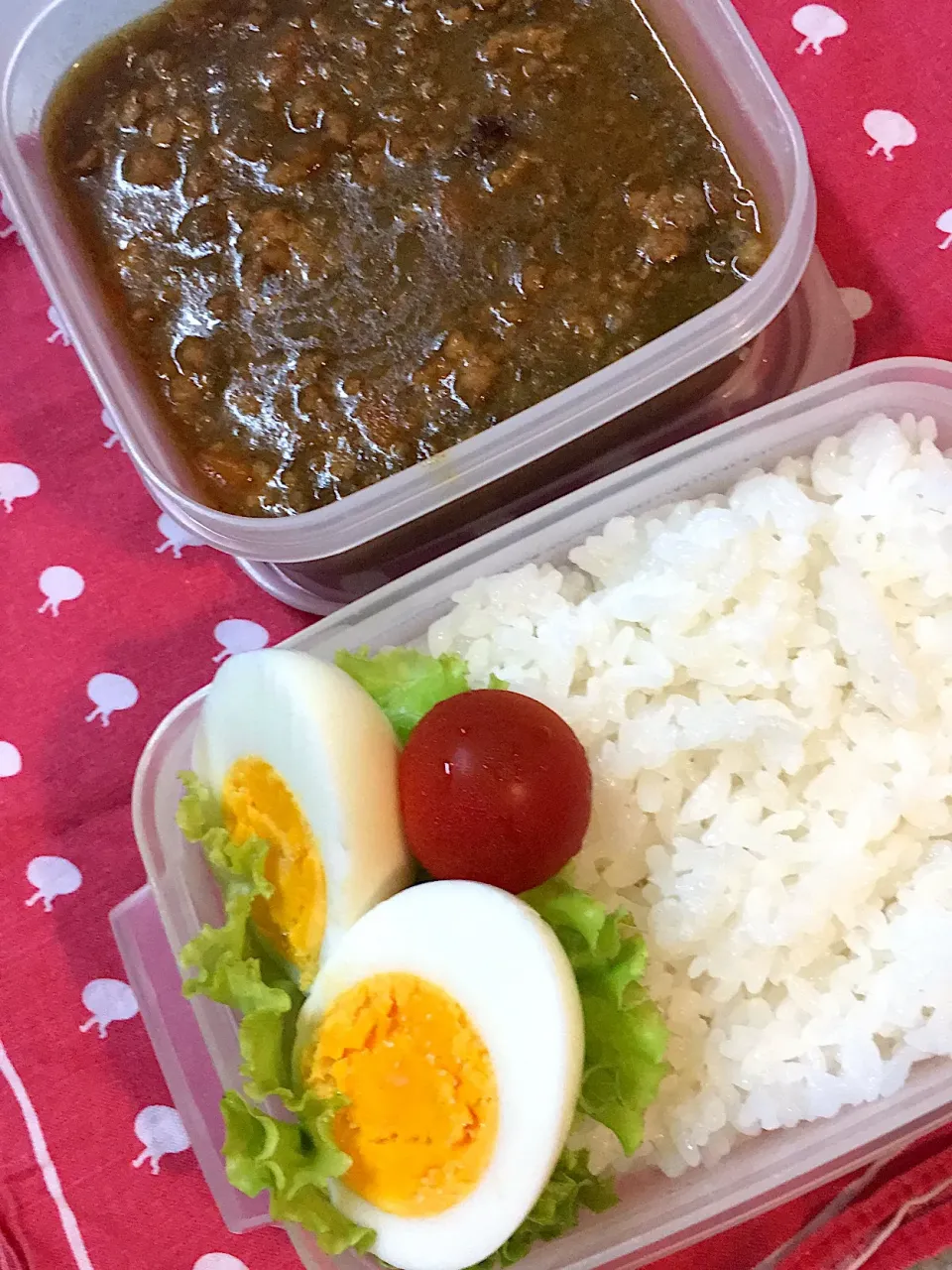 ♫7/4今日のお弁当♫〜ひき肉カレー、ゆで卵とプチトマト添え〜職場のレンジで温めるからタッパで。|Satokoさん