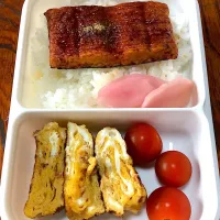 7/4のお弁当|どくきのこさん