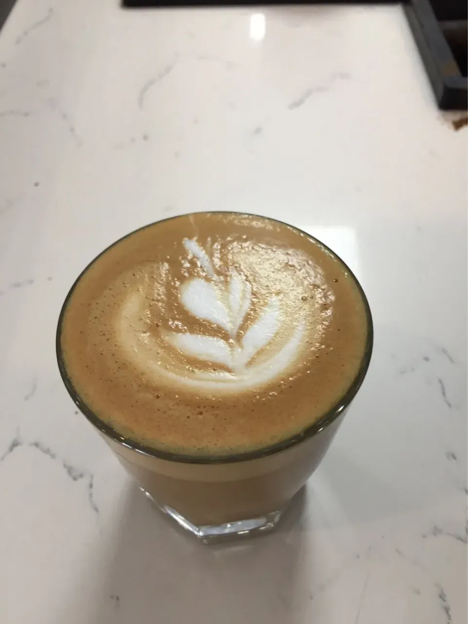 Cortado at Borealis|Debra Mannさん