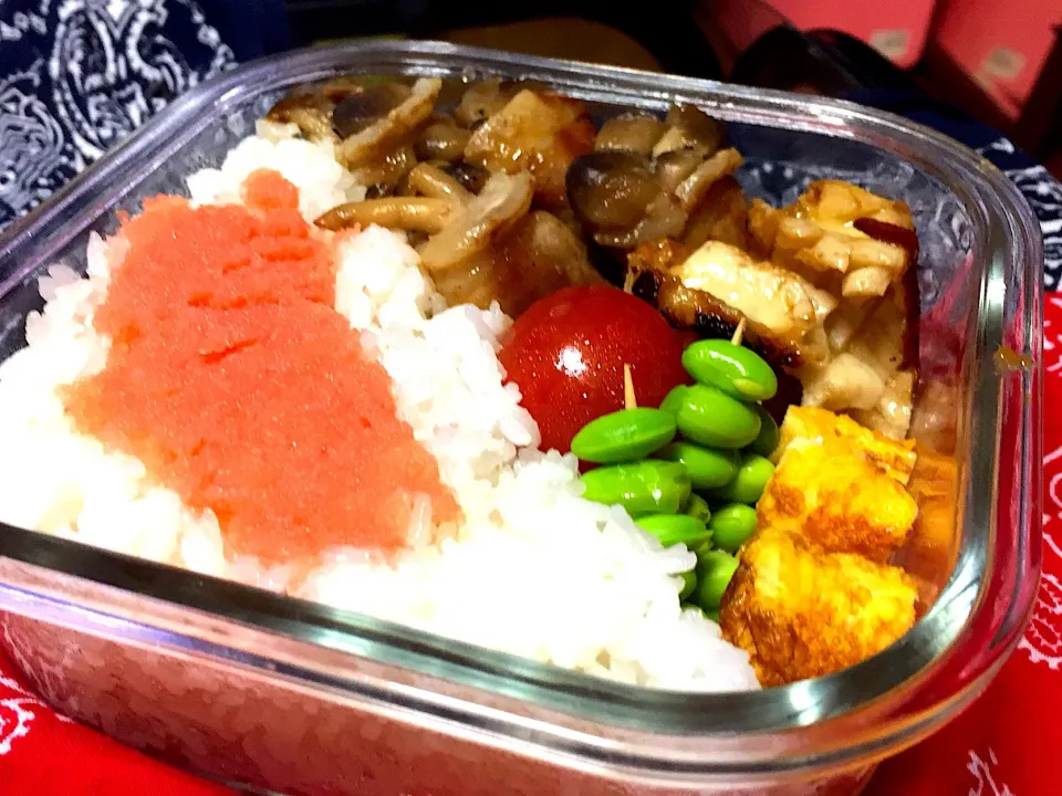 私の夕食弁当♪|くーたんさん