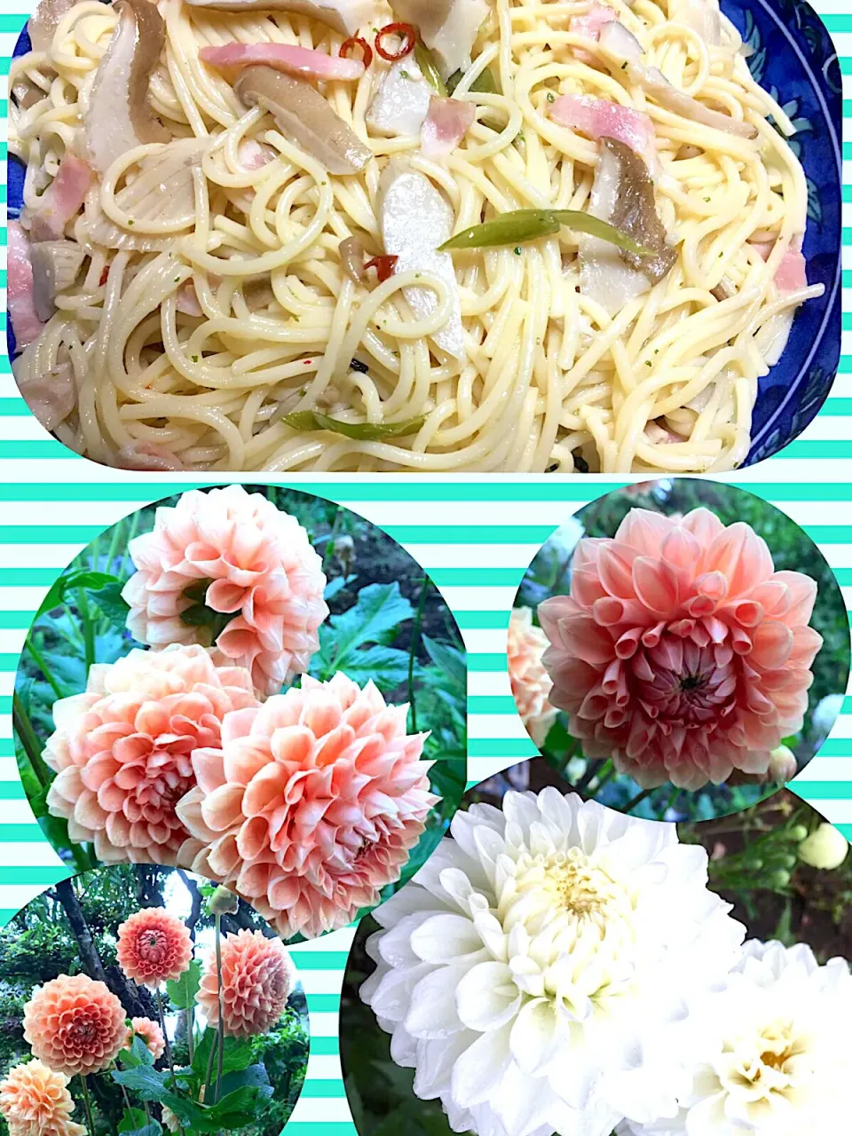 アワビ茸の和風ペペロンチーノ🍝|かぴかぴさん