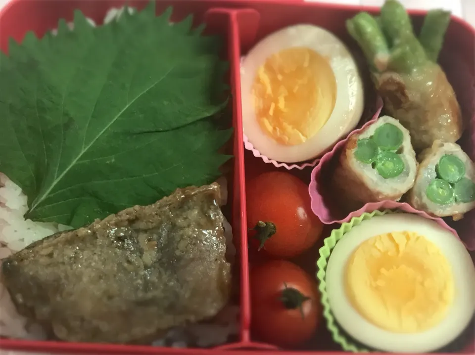 今日のお弁当 #娘のお弁当  #お弁当  #lunchbox  #中学生弁当  #🍱|かれんさん