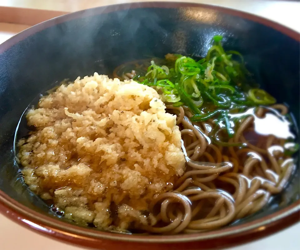 営業マンの昼ごはん☀️☀️🔆
しらす天そば。なかなかにうまいです。|ぽんたさん