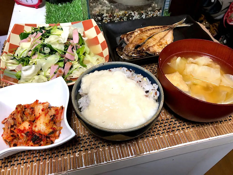 キャベツとお揚げのお味噌汁  とろろご飯  しそキムチ  焼きアジ  野菜炒め|石川洋子さん