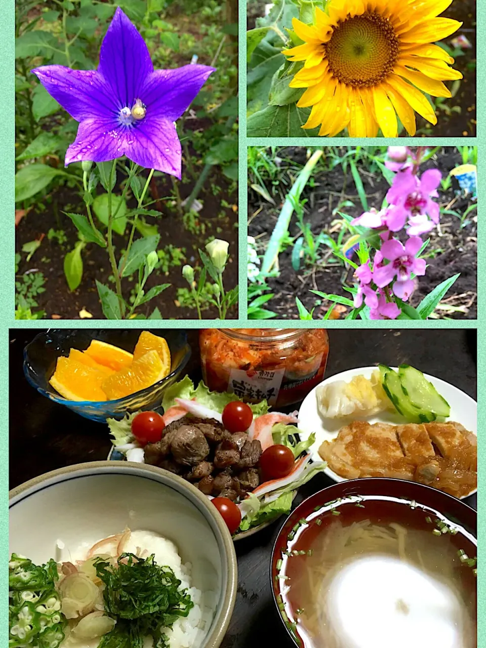 山芋の薬味三種もり〜&豚肉の玉ねぎソース炒めと地鶏の炭火焼定食〜😆|かぴかぴさん