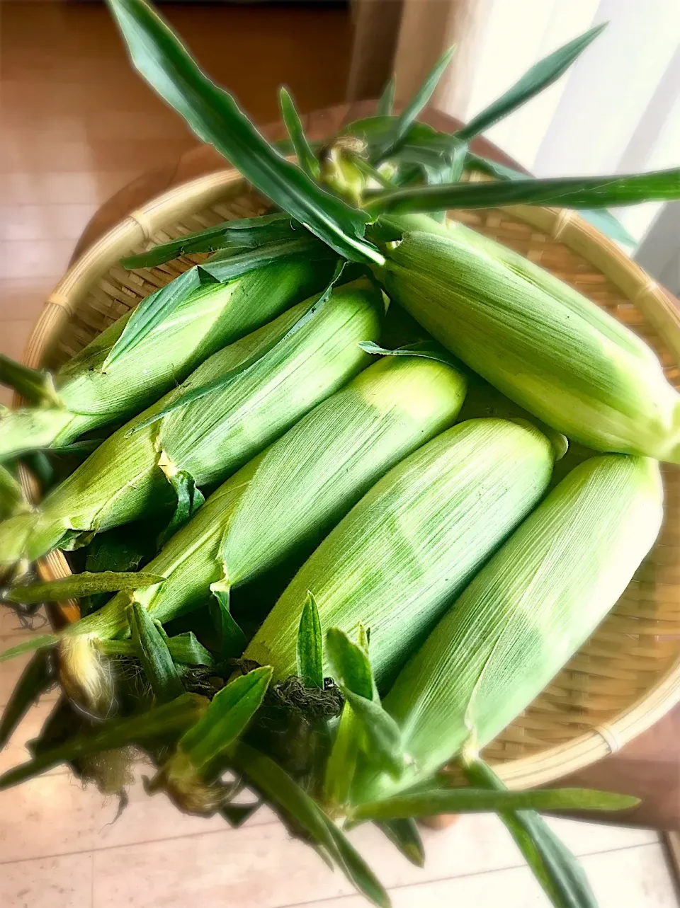 幸せコーン🌽|かおり🐰さん