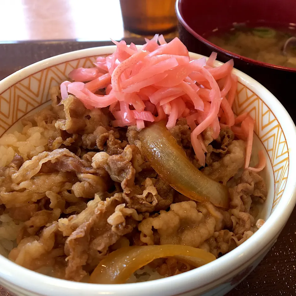 営業マンの昼ごはん☀️☀️☀️
牛丼ミニとしじみ汁|ぽんたさん