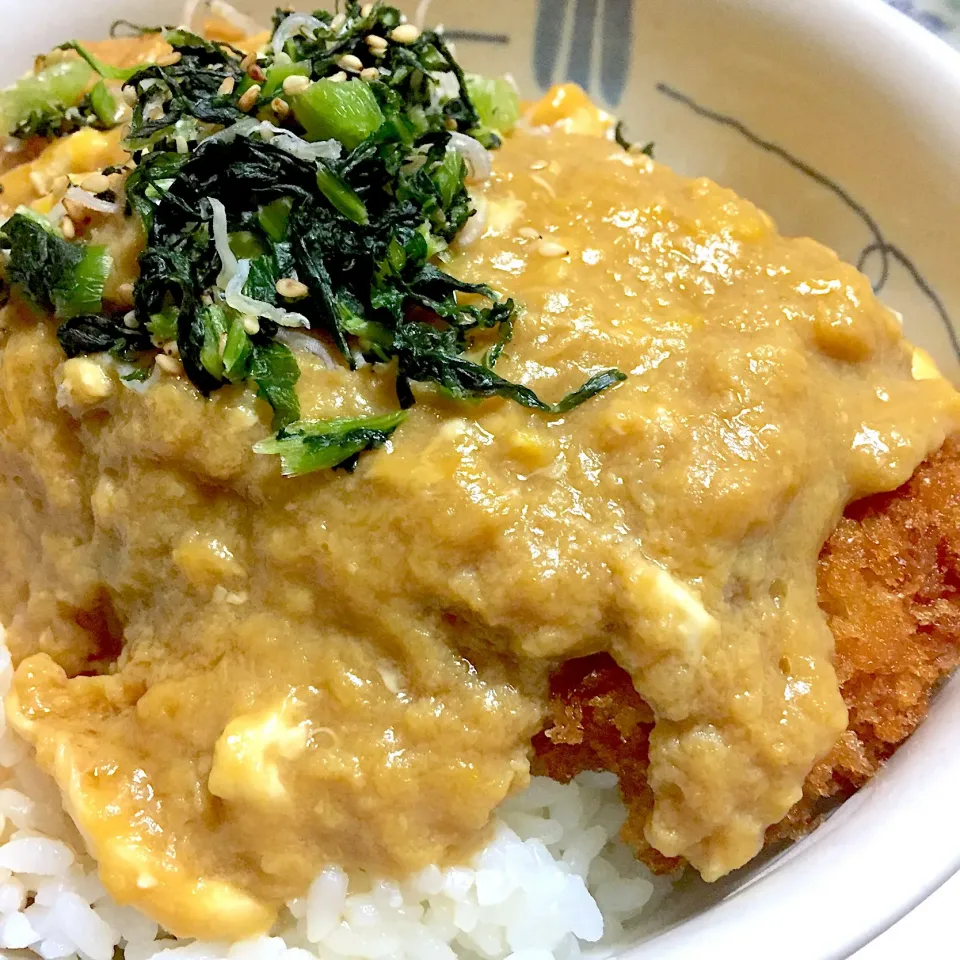 餡掛けカツ丼|のろさん