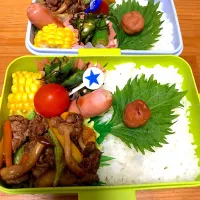 Snapdishの料理写真:焼肉弁当。
オクラは刻み昆布と和えて(๑◕ㅂ▰)ﾉﾞ