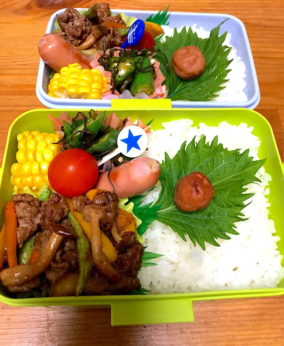 焼肉弁当。
オクラは刻み昆布と和えて(๑◕ㅂ▰)ﾉﾞ|るりさん