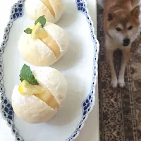 手土産パン🥐
メイさんの料理 カルピスクリームパン(o´〰`o)♡*✲ﾟ*｡