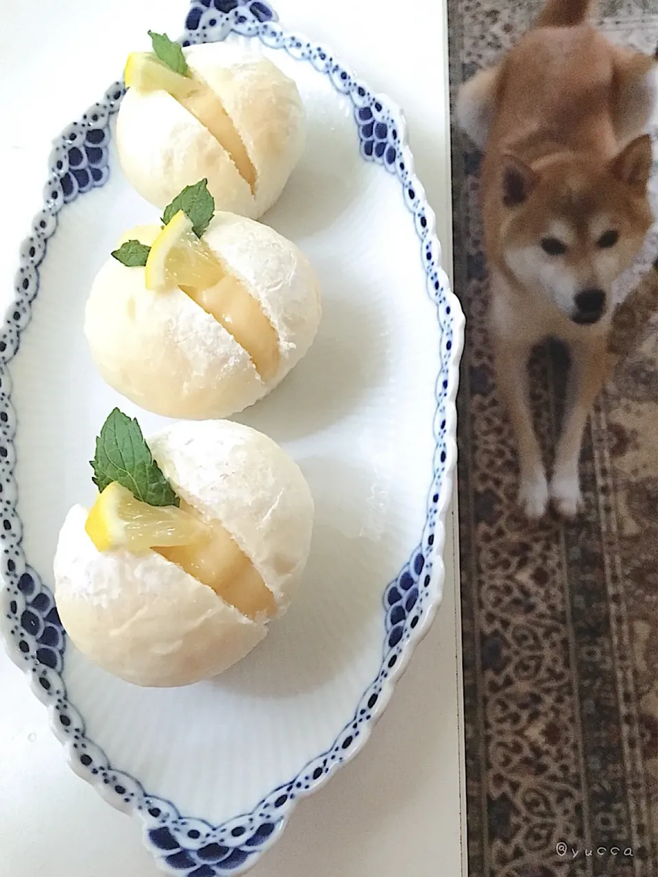 手土産パン🥐
メイさんの料理 カルピスクリームパン(o´〰`o)♡*✲ﾟ*｡|yucca@さん