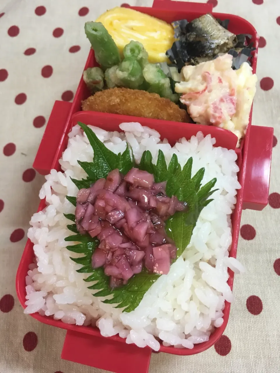 Snapdishの料理写真:7月9日 夏到来弁当|sakuramochiさん