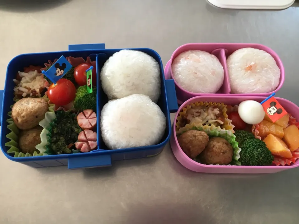 Snapdishの料理写真:ハイキングお弁当|seiko Oさん