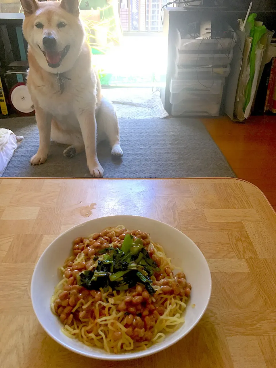 Snapdishの料理写真:夜勤明け納豆の日に納豆焼きそば|Tarou  Masayukiさん