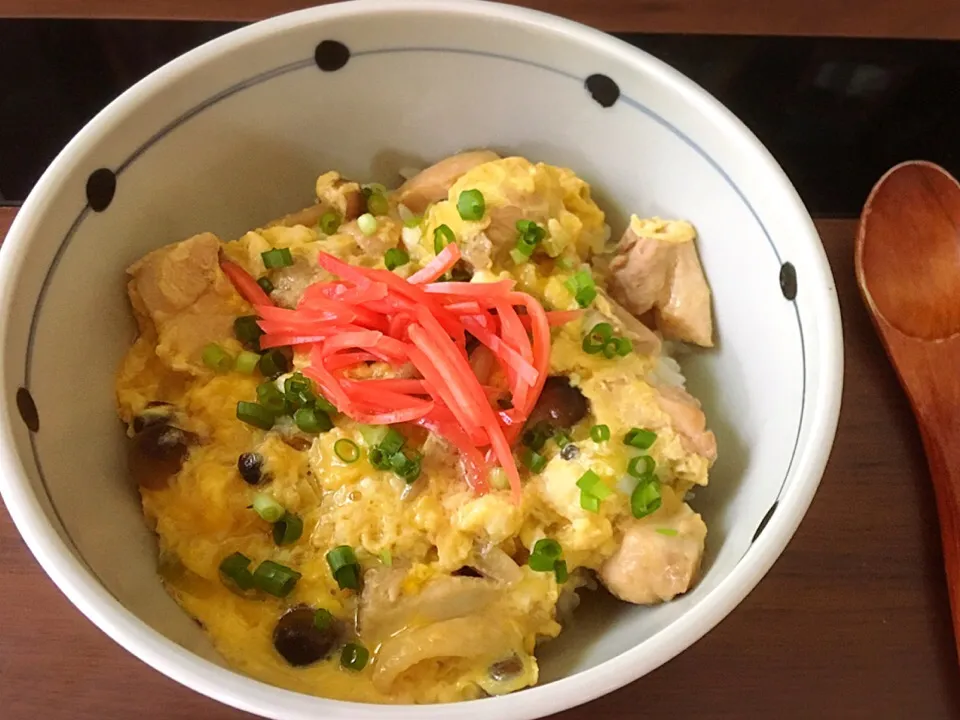 Snapdishの料理写真:18/07/10 ランチは親子丼|ikukoさん