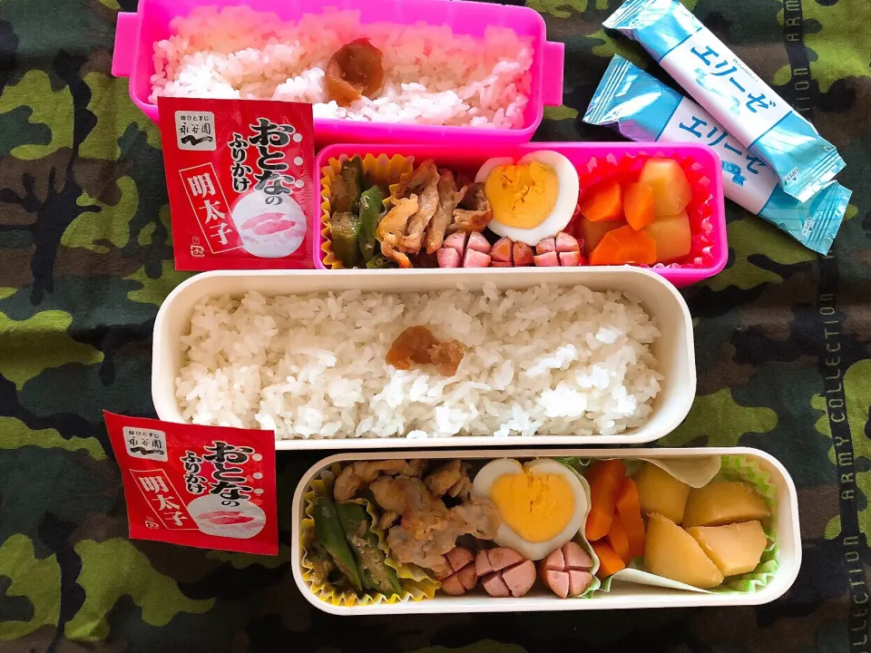 Snapdishの料理写真:2018/07/11(水) 夫弁当&娘弁当🎵|kiyominさん