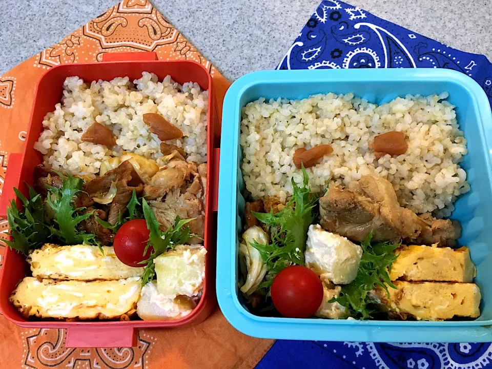 Snapdishの料理写真:♫7/11今日のお弁当♫〜豚肉とキャベツの味噌炒め、鳥手羽甘辛煮、だし巻き卵、明太マヨポテト、プチトマト〜|Satokoさん