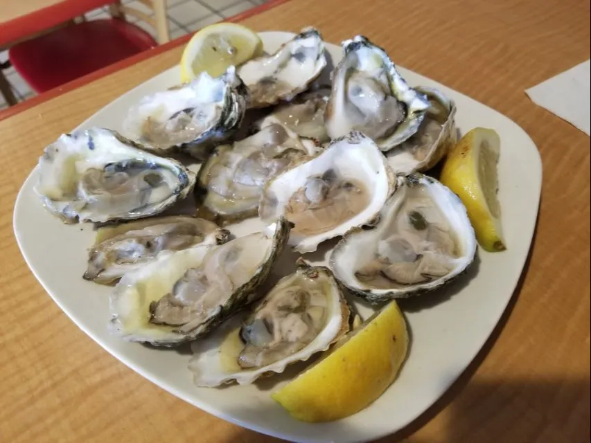 Raw Oysters|Frank Ortizさん