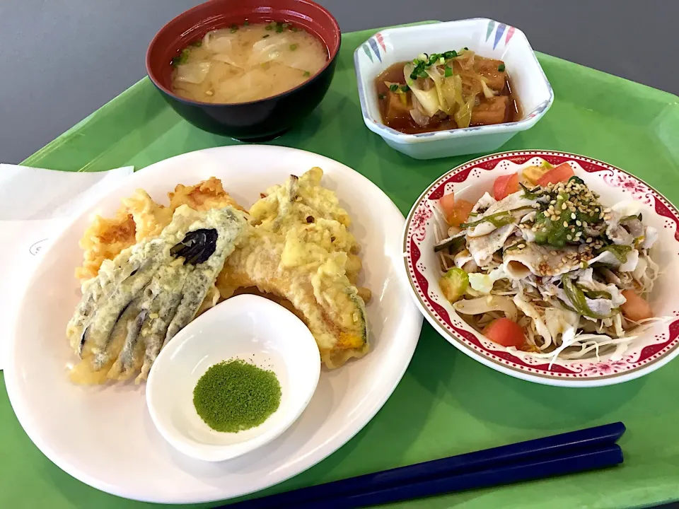 鶏ささみと夏野菜の天ぷら、厚揚げの四川風煮込み、豚肉とゴーヤの沖縄風梅サラダ|Tadahiko Watanabeさん