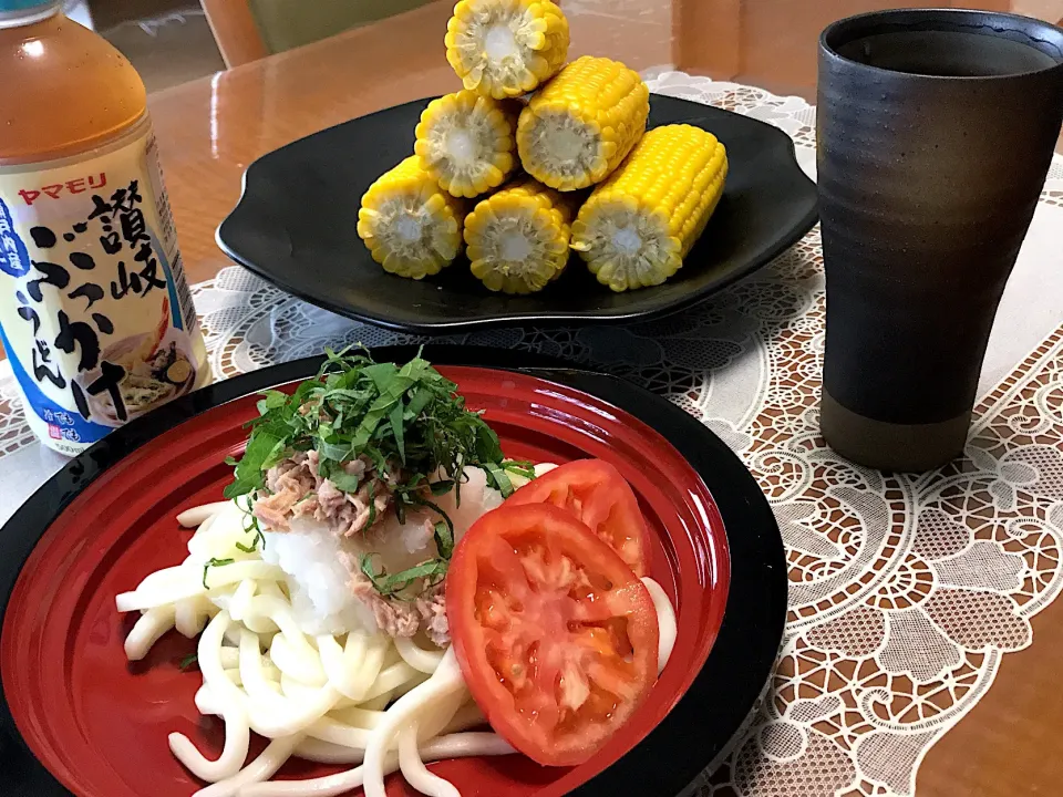 夏ご飯🍉

 #冷やしうどん #ツナおろしうどん|makoさん