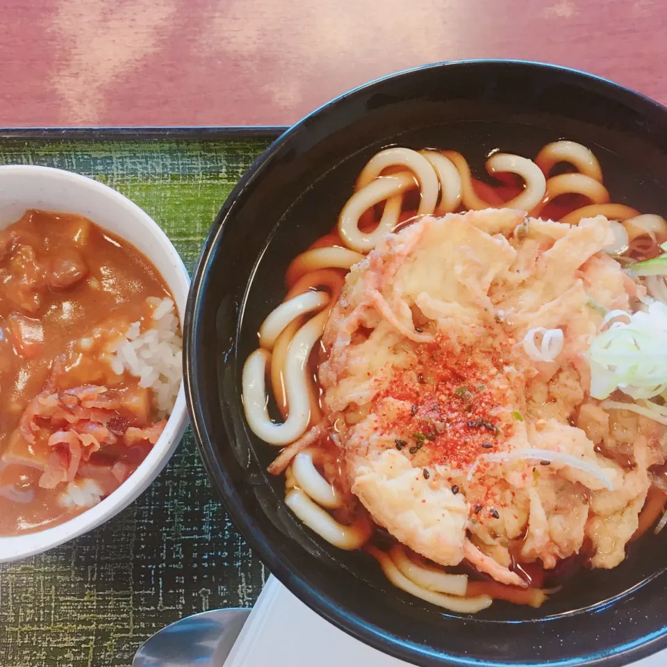 かき揚げうどん ミニカレー|ますおさん